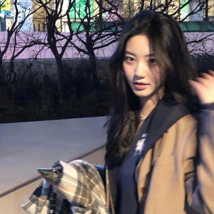 在阳光下腐烂
